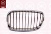 BMW 51137239021 Radiator Grille